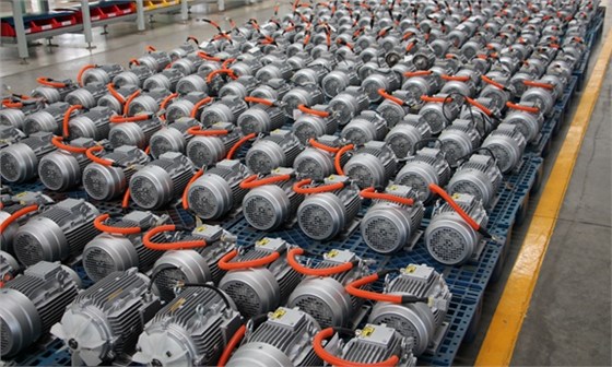 皖南電機:汽車轉(zhuǎn)向泵電機2 皖南電機:汽車轉(zhuǎn)向泵電機2