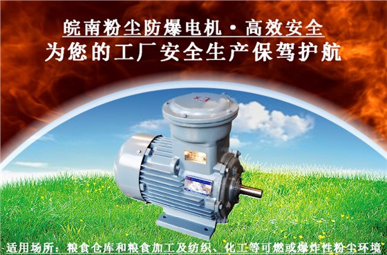 粉塵防爆電機(jī) 粉塵防爆電機(jī)