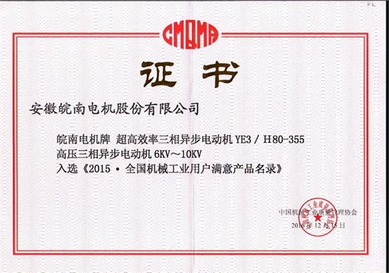 2015全國(guó)用戶滿意產(chǎn)品(YE3高效電機(jī)和高壓電機(jī)) 2015全國(guó)用戶滿意產(chǎn)品(YE3高效電機(jī)和高壓電機(jī))