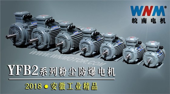 YFB2系列粉塵防爆型電機(jī)入選2018年安徽工業(yè)精品名單 YFB2系列粉塵防爆型電機(jī)入選2018年安徽工業(yè)精品名單