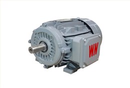 YX3系列高效三相異步電動(dòng)機(jī) YX3系列高效三相異步電動(dòng)機(jī)