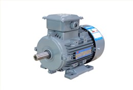 YXL系列高效率鋁機(jī)殼三相異步電動(dòng)機(jī) YXL系列高效率鋁機(jī)殼三相異步電動(dòng)機(jī)