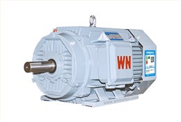 YE5系列三相異步電動機 YE5系列三相異步電動機