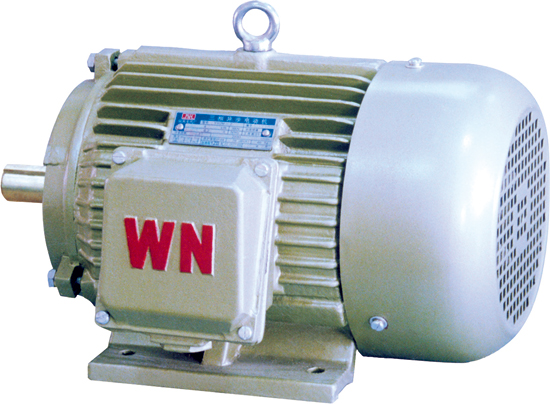 YH2系列高轉(zhuǎn)差率三相異步電動機(jī)