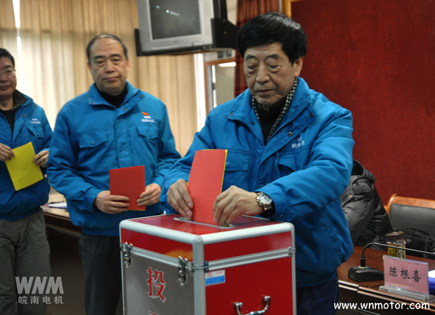 皖南電機(jī)陳根喜、管兵在投票現(xiàn)場