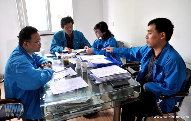 皖南電機|內(nèi)審 皖南電機|內(nèi)審