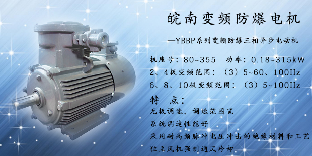 變頻防爆電機 變頻防爆電機